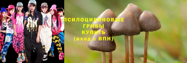 дмт Бугульма