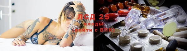 альфа пвп Бородино