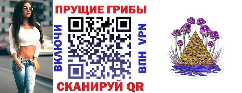 Галлюциногенные грибы Psilocybine cubensis  Новохопёрск 